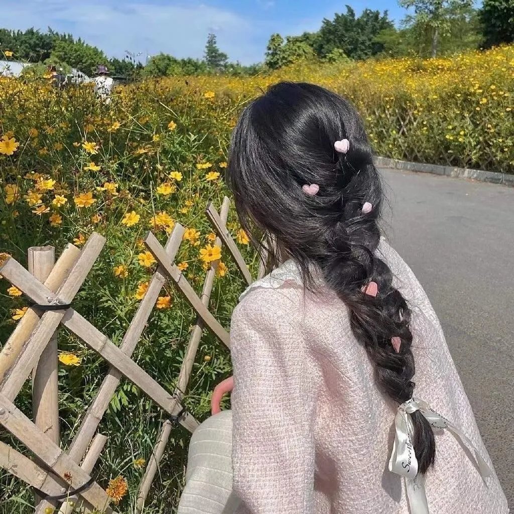 闪闪的红星 动画版